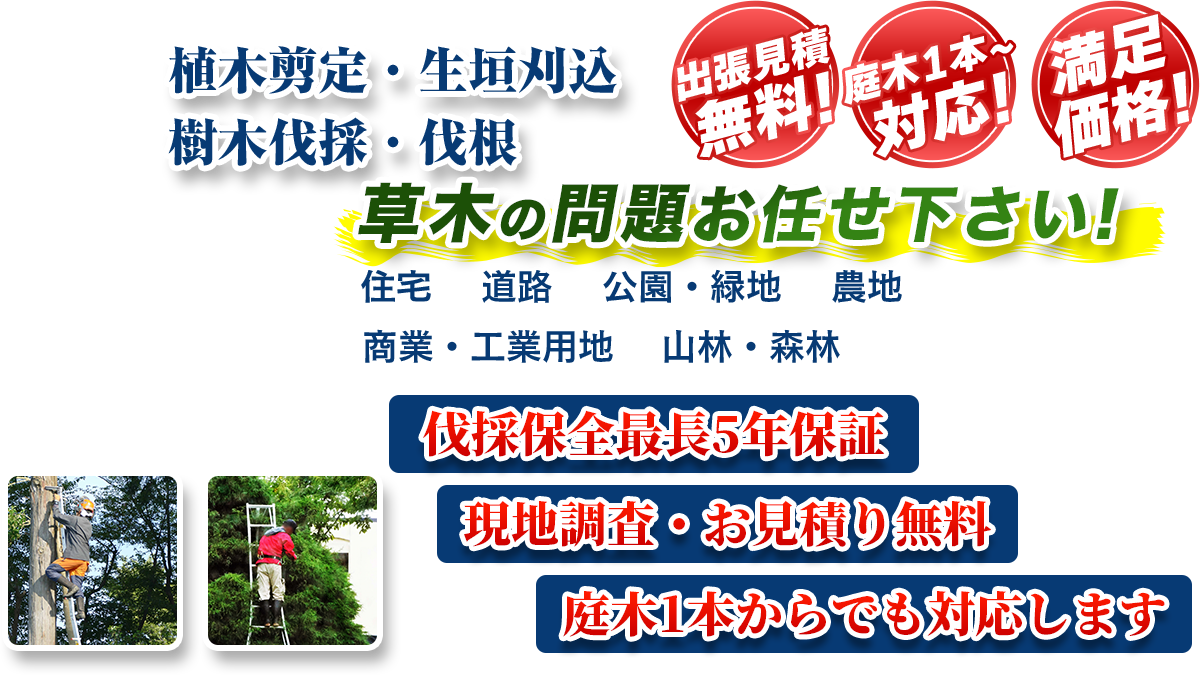 栃木市エリア即対応!! 出張無料! 庭木1本~対応! 満足価格! 植木剪定・生垣刈込 樹木伐採・伐根 草木の問題お任せ下さい! 住宅 道路 公園・緑地 農地 商業・工業用他 山林・森林 伐採保全最長5年保証 現地調査・お見積り無料 庭木1本からでも対応します
